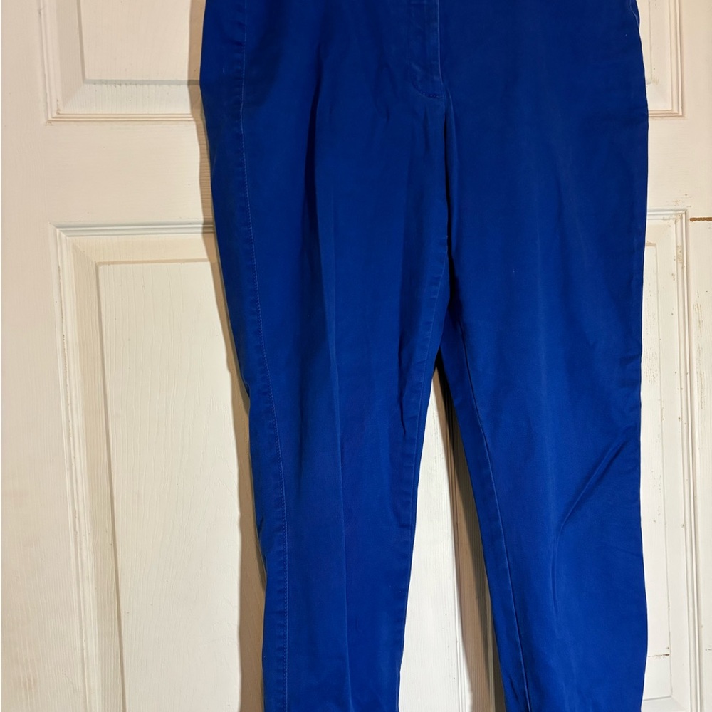 Lands' End Classic Blue Trousers